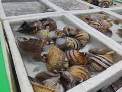-外伶仃岛海鲜市场
