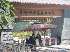 -青峰峡国家森林公园