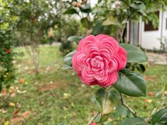 -深圳国际园林花卉博览园