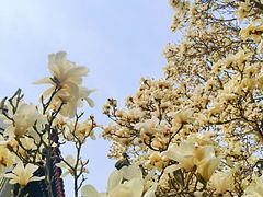 -北京石刻艺术博物馆(五塔寺)