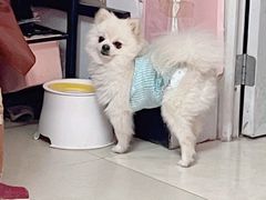 -汪说·狗咖(旺城大厦店)