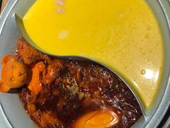 -青瓷火锅料理(西单大悦城店)