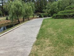 -前小桔亲子创意农场·草莓采摘·露营烧烤