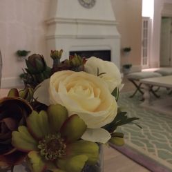 -皇家月府月子中心(沈阳店)