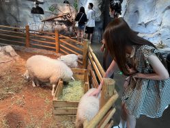 -Zoolung Zoolung动物主题公园(海信广场店)