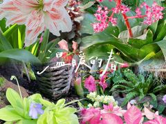 -上海辰山植物园