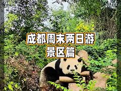 -成都大熊猫繁育研究基地