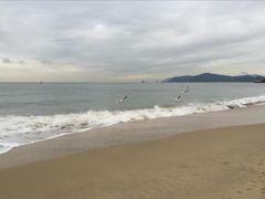 -海云台海滩