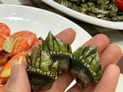-梅子大排档