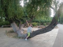 -健龙森俱乐部·游泳·健身·羽毛球综合体育馆