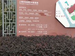 -上海市杨浦区中医医院