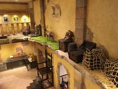 -信不信由你博物馆