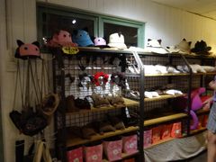 -猫咪博物馆(顶澳仔猫街店)