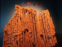 -贵州省地质博物馆