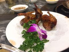 -鸽鸟轩(石岐店)