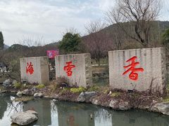 -香雪海