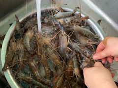 -会江钓鱼钓虾烧烤场