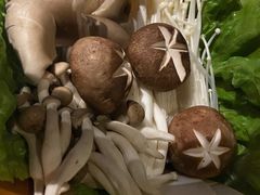 -捞王锅物料理(凯旋路店)