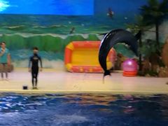 -临沂极地海洋王国