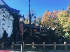 -九华山风景区