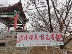 -樱花山风景区