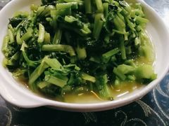 野生水芹菜-国生茶庄·地道农家菜团建活动