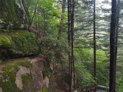 -汤旺河林海奇石景区