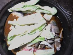炖鲶鱼-肥鱼屯活鱼锅(惠工街店)