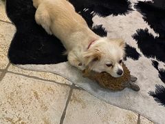 -零几体验diy皮具工作室(振业城店)