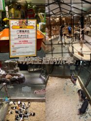 -造物庄园 萌宠纪(苏州湾歌林公园店)