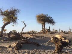 -沙漠世界地质公园