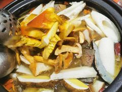 -菌之家·专业纯野生菌火锅·特色炒菌