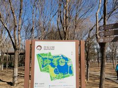 -大兴滨河森林公园