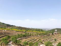 -密云玫瑰情园