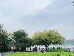 -海珠湖公园