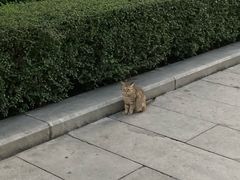 -烈士陵园(地铁站)