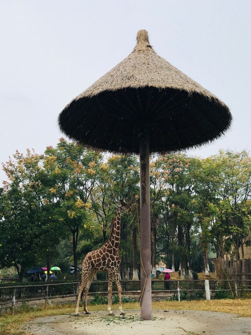 南昌動物園