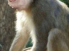 -玉珑泉·汤泉美食水疗(海珠店)