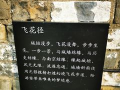 -南京城墙景区