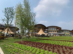 -中国天府农业博览园