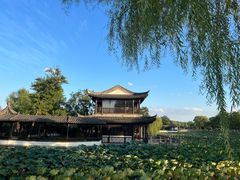 -尚湖风景区