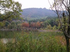 -游子山休闲旅游区