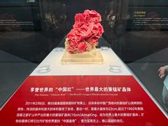 -湖南省地质博物馆