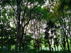 -苏州河梦清园环保主题公园