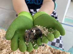 -怪兽屋·羊驼·猫咖·狗咖(俊华广场店)