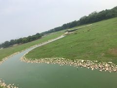 -北京麋鹿生态实验中心