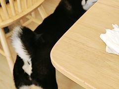-柴の食堂·日式家庭料理·熊之肆(大学路店)