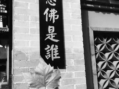 -终南山国家森林公园