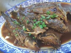 -老马家·舌尖上的西塘美食