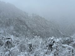 -四明山国家森林公园